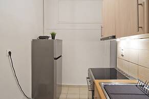 Homely Athens Apartment