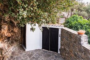 Belva Blue Verga in Kato Verga