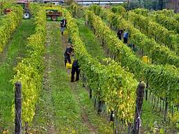 Cosy Farmhouse in Bacchereto With Swimming Pool