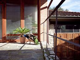 Pleasant Apartment With Swimming Pool,garden,bbq, Parking