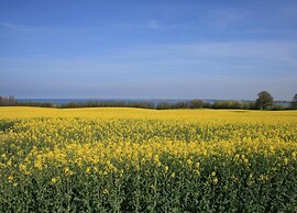 Modern Holiday Home in Brusow With Roofed Terrace