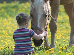 Modern Holiday Home in Brusow With Roofed Terrace