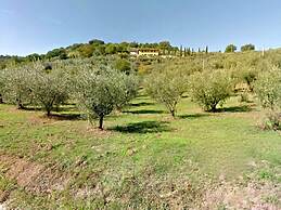 Country House With Swimming Pool and Garden With Mediterranean Plants