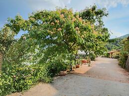 Country House With Swimming Pool and Garden With Mediterranean Plants