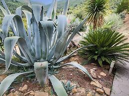 Country House With Swimming Pool and Garden With Mediterranean Plants