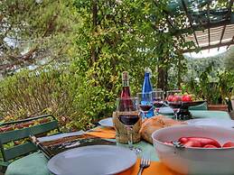 Country House With Swimming Pool and Garden With Mediterranean Plants