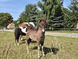 Modern Holiday Home in Detershagen With Garden