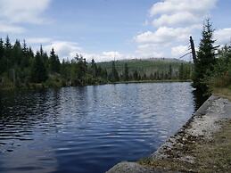 Beautiful Apartment in the Bavarian Forest With Balcony and Whirlpool 