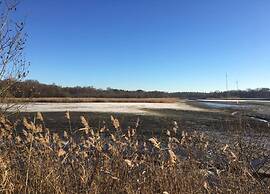 Cosy Holiday Home in Maarheeze With Verandah