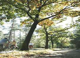 Cosy Holiday Home in Maarheeze With Verandah