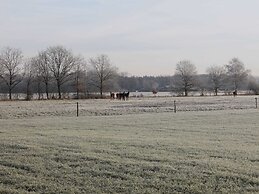 Cosy Holiday Home in Maarheeze With Verandah