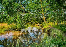 Cosy Holiday Home in Maarheeze With Verandah