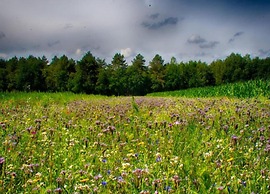 Cosy Holiday Home in Maarheeze With Verandah