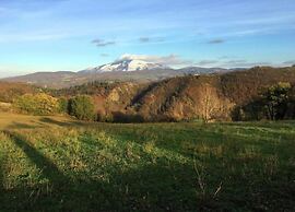 Timeless Holiday Home in Apecchio With Garden