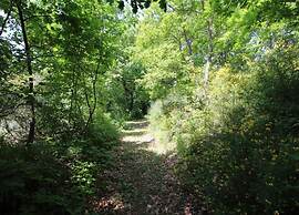 Timeless Holiday Home in Apecchio With Garden