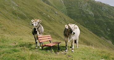 Vintage Apartment With Sauna in Hopfgarten