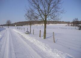Large Detached Holiday Home in Hesse With Private Garden and Terrace