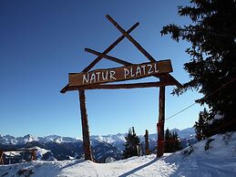 Private Chalet in Grossarl With Sauna and Beautiful View