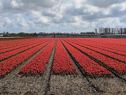 Comfortable Holiday Home in Noordwijkerhout Near the sea