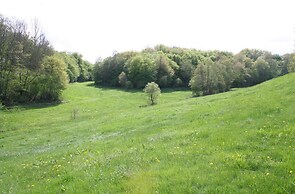Idyllic Studio Apartment Near Kaifenheim and Near the Forest