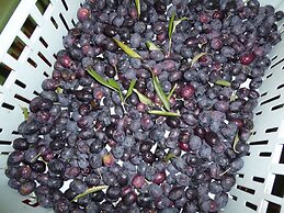 Air-conditioned Flat With Pool and Wellness Area