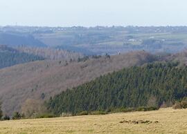 Nostalgic Apartment in the Eifel Region