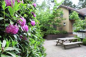 Quaint Villa in Doornspijk With Swimming Pool