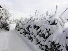 Holiday Home in Neustadt am Rennsteig With Pond