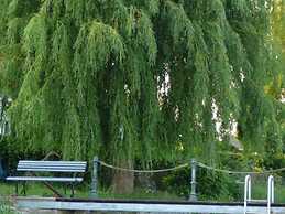 Spacious Appartment in Wilhelmshof Near Lake