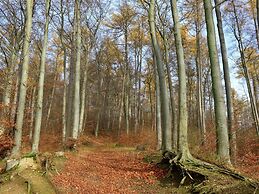 Cozy Apartment in Lowensen Lower Saxony With Private Terrace