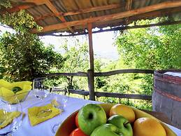 Alluring Farmhouse in Ortignano With Swimming Pool