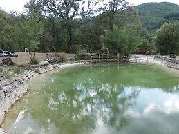 Alluring Farmhouse in Ortignano With Swimming Pool