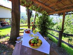 Alluring Farmhouse in Ortignano With Swimming Pool