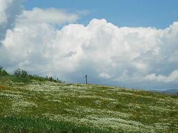 Alluring Farmhouse in Ortignano With Swimming Pool