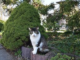 Cozy Apartment in Rerik With Sea Near