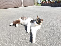 Cozy Apartment in Rerik With Sea Near