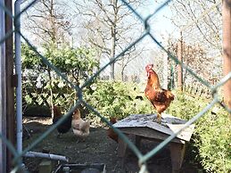 Cozy Apartment in Rerik With Sea Near