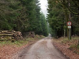 Nice Apartment in Allrode With Private Terrace