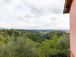 Nice Apartment in Pian di Sco-campiglia With Sauna