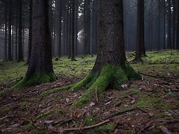 Holiday Homes for two People, With a Swimming Pool, in the Ore Mountai