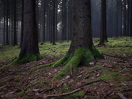 Holiday Homes for two People, With a Swimming Pool, in the Ore Mountai