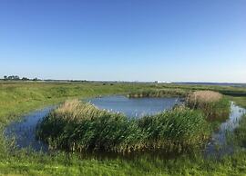 Boutique Bungalow in Insel Poel With Terrace