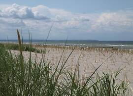 Boutique Bungalow in Insel Poel With Terrace