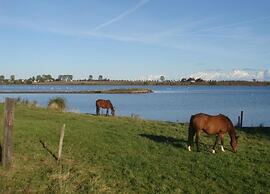 Boutique Bungalow in Insel Poel With Terrace