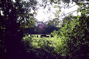 Historic Farmhouse in Hohnebostel With Garden Near Lake