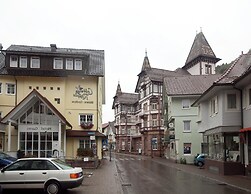 Modern Apartment in Bad Peterstal-griesbach With Vineyards