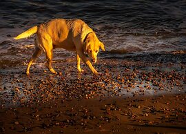 Quaint Apartment in Oostkapelle Zealand With Terrace