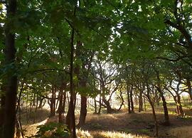 Quaint Apartment in Oostkapelle Zealand With Terrace