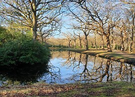 Quaint Apartment in Oostkapelle Zealand With Terrace