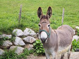 Elegant Apartment in Saalbach-hinterglemm Near Ski Bus